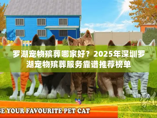 罗湖宠物殡葬哪家好？2025年深圳罗湖宠物殡葬服务靠谱推荐榜单