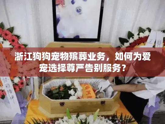 浙江狗狗宠物殡葬业务，如何为爱宠选择尊严告别服务？
