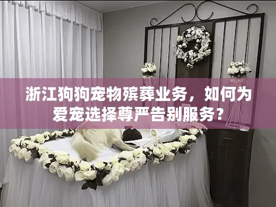 浙江狗狗宠物殡葬业务，如何为爱宠选择尊严告别服务？