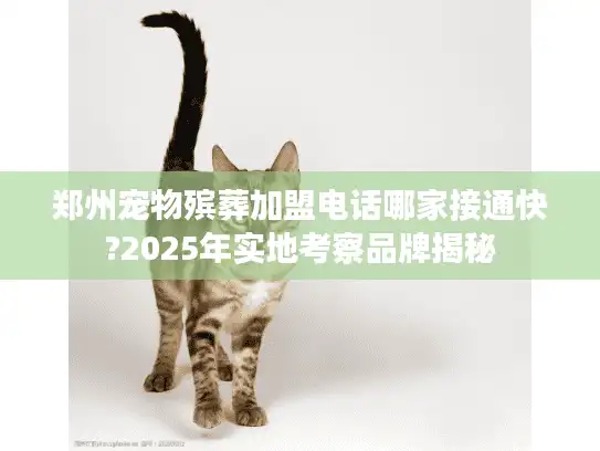 郑州宠物殡葬加盟电话哪家接通快?2025年实地考察品牌揭秘