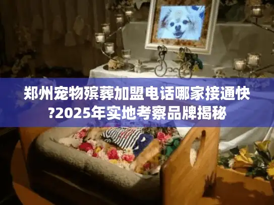 郑州宠物殡葬加盟电话哪家接通快?2025年实地考察品牌揭秘