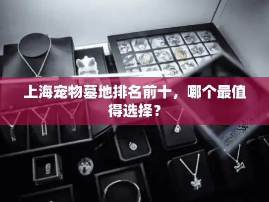 上海宠物墓地排名前十，哪个最值得选择？