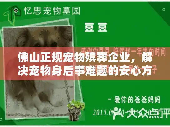 佛山正规宠物殡葬企业，解决宠物身后事难题的安心方案