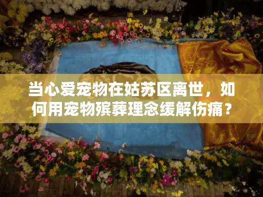 当心爱宠物在姑苏区离世，如何用宠物殡葬理念缓解伤痛？