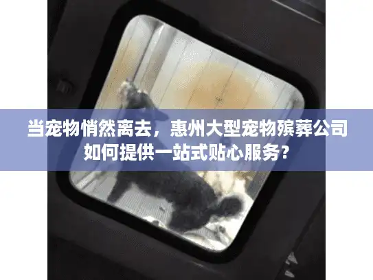 当宠物悄然离去，惠州大型宠物殡葬公司如何提供一站式贴心服务？