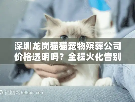 深圳龙岗猫猫宠物殡葬公司价格透明吗？全程火化告别服务详解
