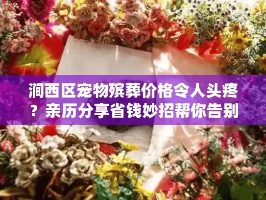 涧西区宠物殡葬价格令人头疼？亲历分享省钱妙招帮你告别心痛！