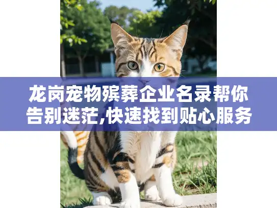 龙岗宠物殡葬企业名录帮你告别迷茫,快速找到贴心服务
