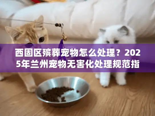 西固区殡葬宠物怎么处理？2025年兰州宠物无害化处理规范指南