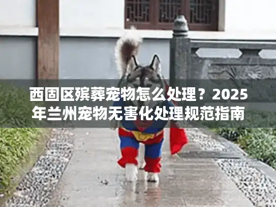 西固区殡葬宠物怎么处理？2025年兰州宠物无害化处理规范指南