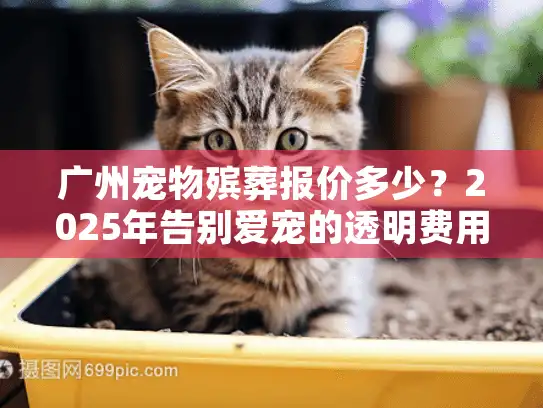 广州宠物殡葬报价多少？2025年告别爱宠的透明费用指南
