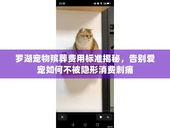 罗湖宠物殡葬费用标准揭秘，告别爱宠如何不被隐形消费刺痛