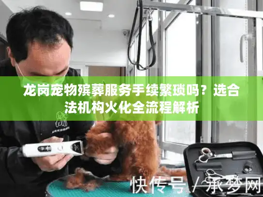 龙岗宠物殡葬服务手续繁琐吗？选合法机构火化全流程解析