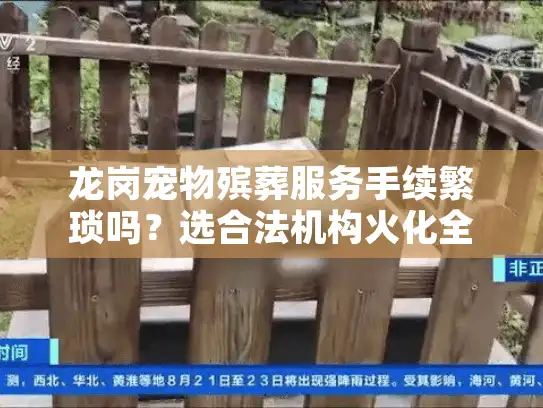 龙岗宠物殡葬服务手续繁琐吗？选合法机构火化全流程解析