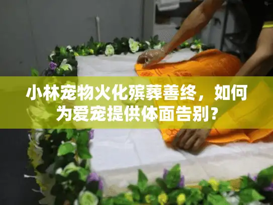 小林宠物火化殡葬善终，如何为爱宠提供体面告别？