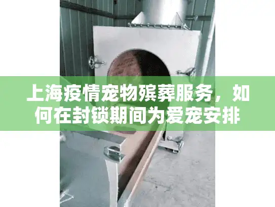 上海疫情宠物殡葬服务，如何在封锁期间为爱宠安排体面告别？
