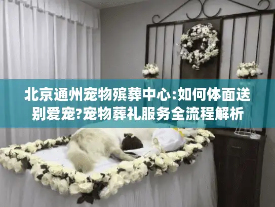 北京通州宠物殡葬中心:如何体面送别爱宠?宠物葬礼服务全流程解析