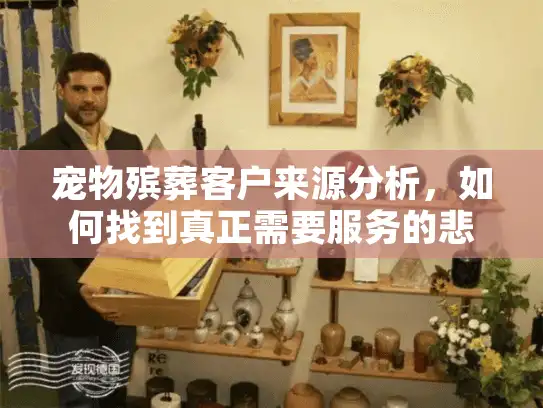 宠物殡葬客户来源分析，如何找到真正需要服务的悲痛主人