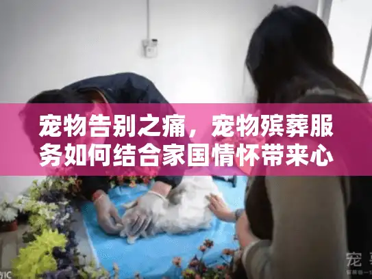 宠物告别之痛，宠物殡葬服务如何结合家国情怀带来心灵抚慰