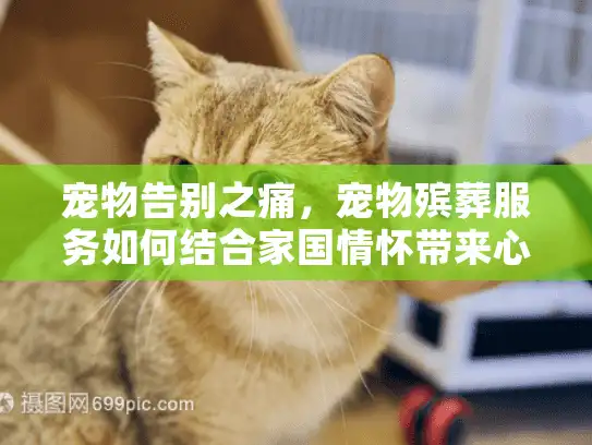 宠物告别之痛，宠物殡葬服务如何结合家国情怀带来心灵抚慰