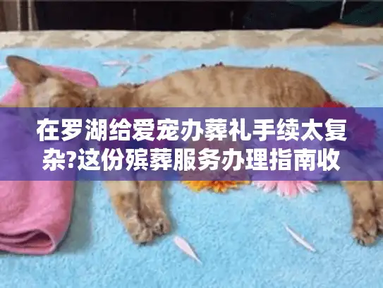 在罗湖给爱宠办葬礼手续太复杂?这份殡葬服务办理指南收藏好