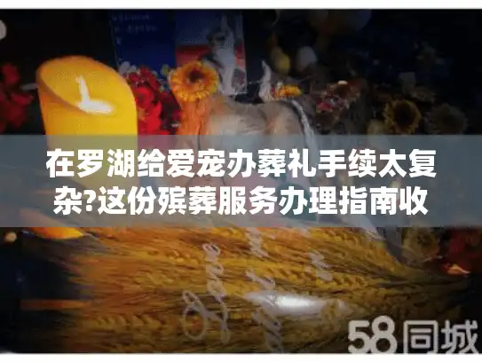 在罗湖给爱宠办葬礼手续太复杂?这份殡葬服务办理指南收藏好