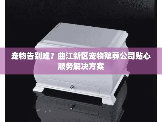 宠物告别难？曲江新区宠物殡葬公司贴心服务解决方案