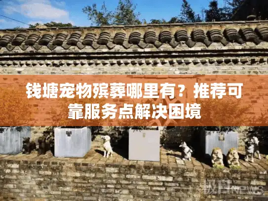 钱塘宠物殡葬哪里有？推荐可靠服务点解决困境
