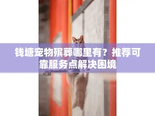 钱塘宠物殡葬哪里有？推荐可靠服务点解决困境