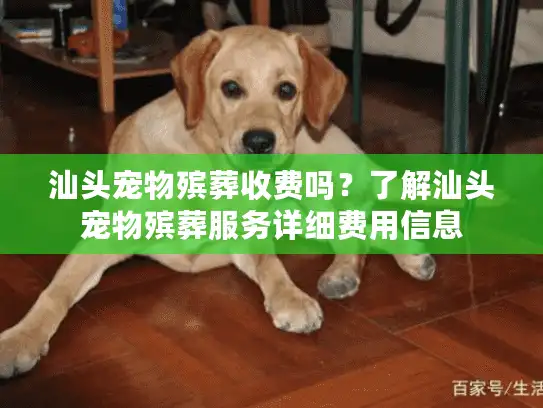 汕头宠物殡葬收费吗？了解汕头宠物殡葬服务详细费用信息