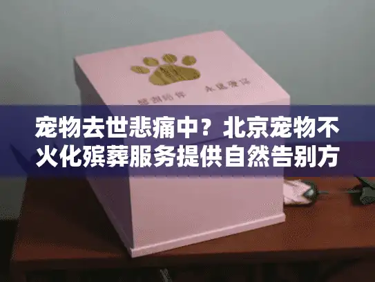 宠物去世悲痛中？北京宠物不火化殡葬服务提供自然告别方案