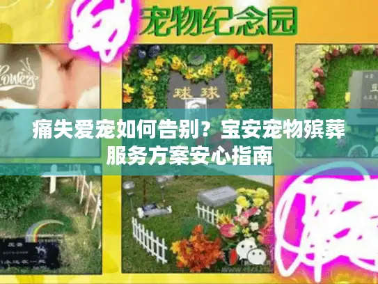 痛失爱宠如何告别？宝安宠物殡葬服务方案安心指南