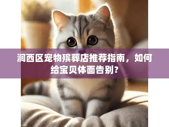 涧西区宠物殡葬店推荐指南，如何给宝贝体面告别？