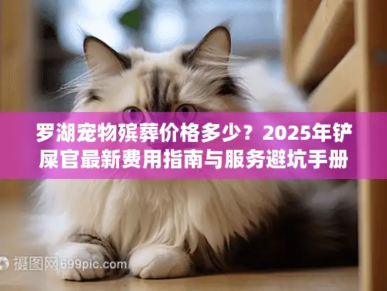 罗湖宠物殡葬价格多少？2025年铲屎官最新费用指南与服务避坑手册