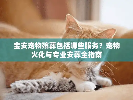 宝安宠物殡葬包括哪些服务？宠物火化与专业安葬全指南