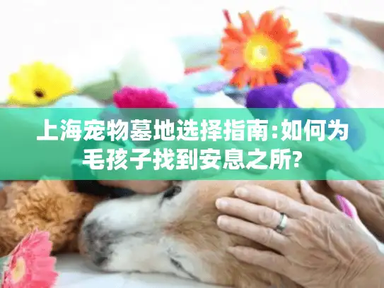 上海宠物墓地选择指南:如何为毛孩子找到安息之所?