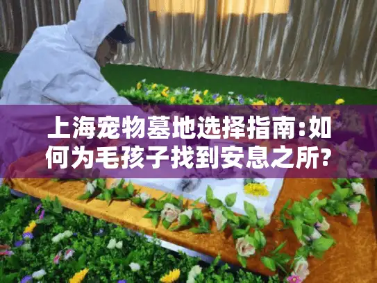 上海宠物墓地选择指南:如何为毛孩子找到安息之所?