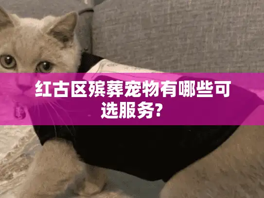 红古区殡葬宠物有哪些可选服务?