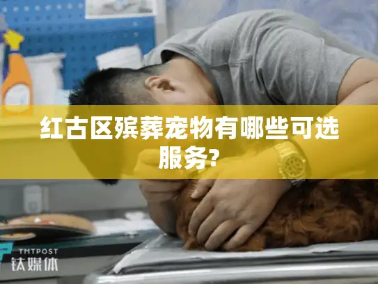 红古区殡葬宠物有哪些可选服务?