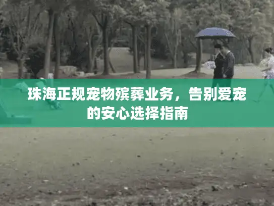 珠海正规宠物殡葬业务，告别爱宠的安心选择指南