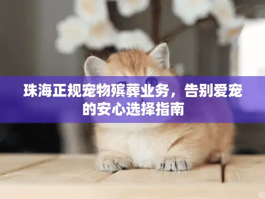 珠海正规宠物殡葬业务，告别爱宠的安心选择指南