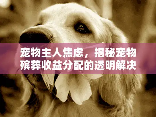 宠物主人焦虑，揭秘宠物殡葬收益分配的透明解决方案
