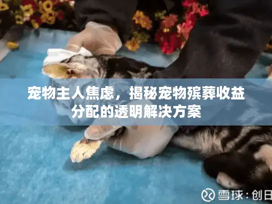 宠物主人焦虑，揭秘宠物殡葬收益分配的透明解决方案