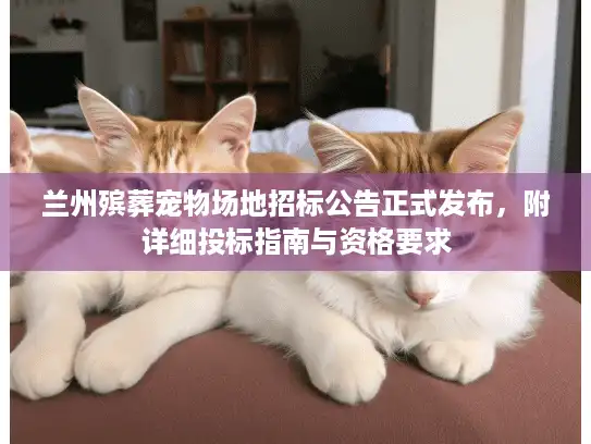 兰州殡葬宠物场地招标公告正式发布，附详细投标指南与资格要求