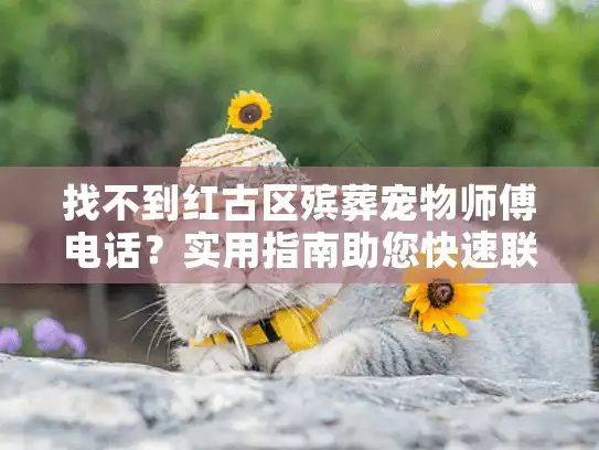 找不到红古区殡葬宠物师傅电话？实用指南助您快速联系