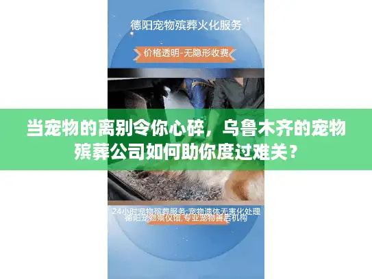 当宠物的离别令你心碎，乌鲁木齐的宠物殡葬公司如何助你度过难关？