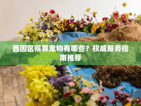 西固区殡葬宠物有哪些？权威服务指南推荐
