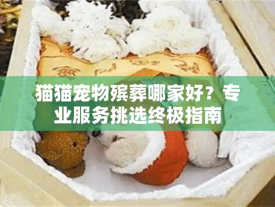 猫猫宠物殡葬哪家好？专业服务挑选终极指南