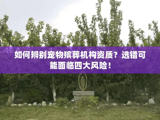 如何辨别宠物殡葬机构资质？选错可能面临四大风险！