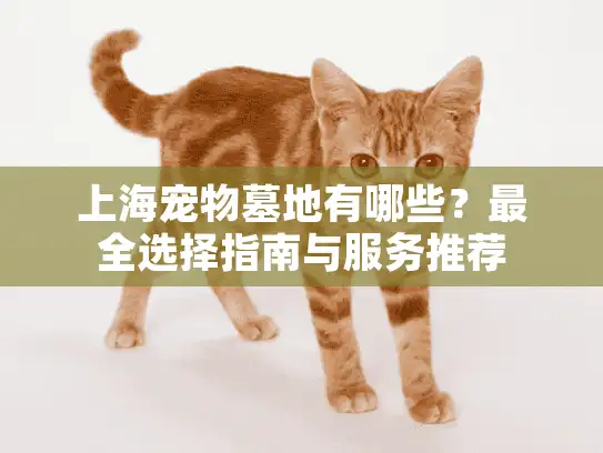 上海宠物墓地有哪些？最全选择指南与服务推荐